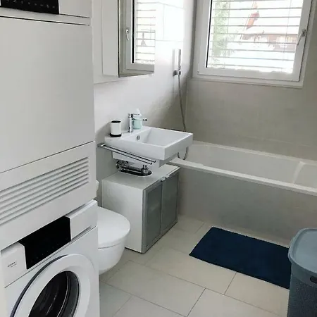 Easy-Living Apartments Dietwil Extérieur photo